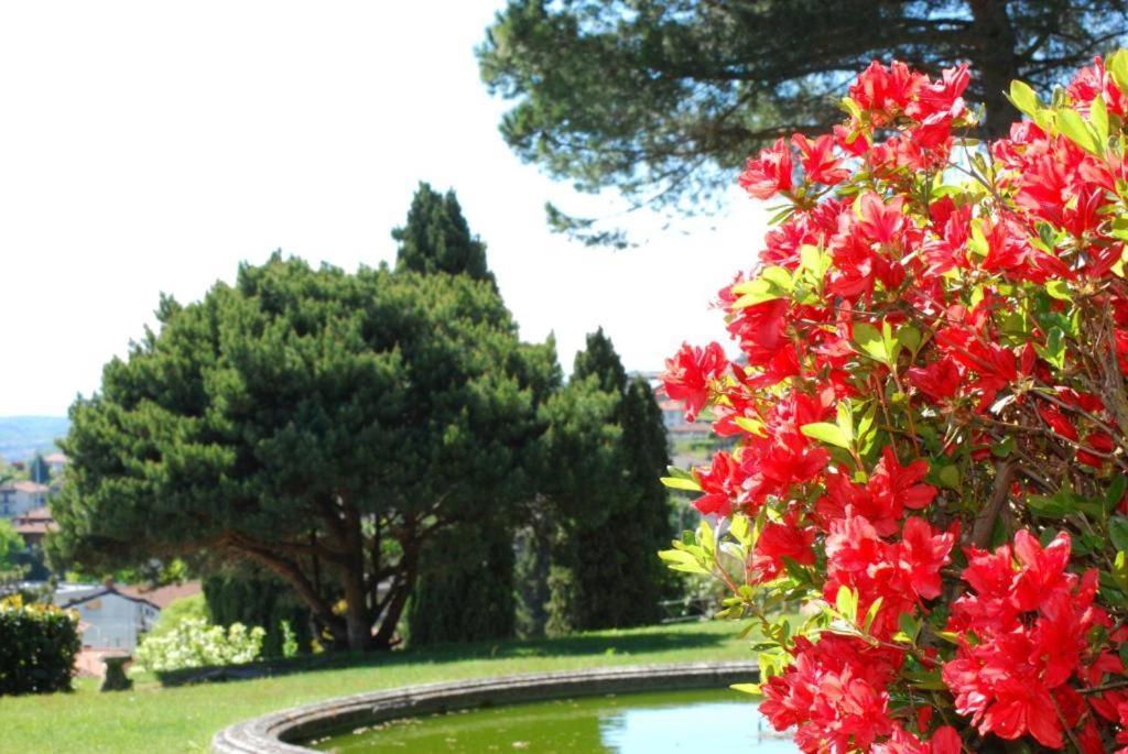 Villa Rossini Tavernerio Luaran gambar